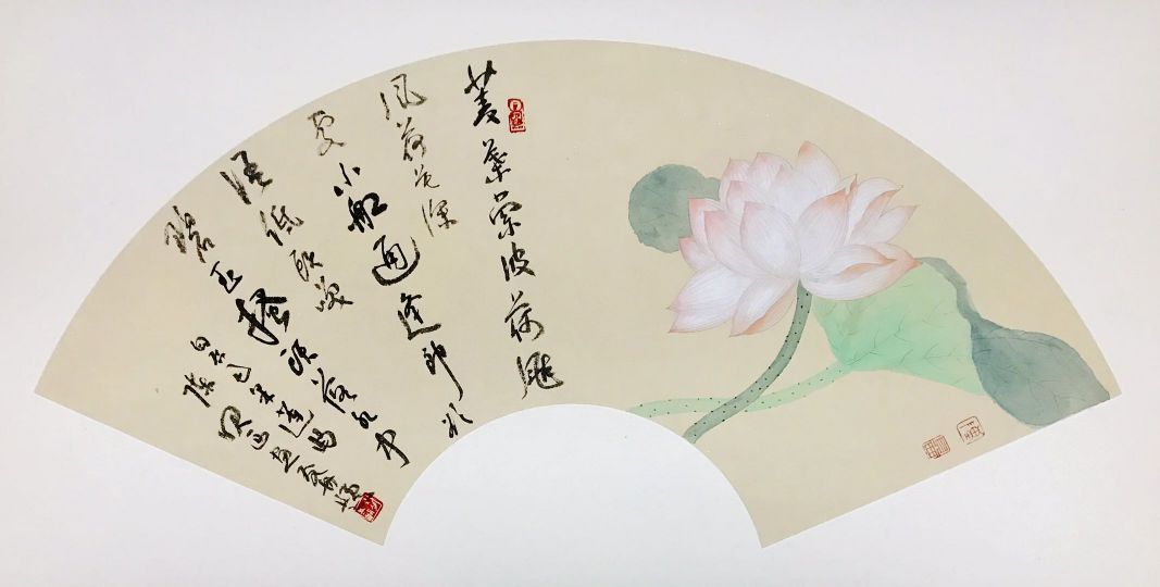 ߣAػƷ 鷨-1(±飩 1188 鿴ϸܣ